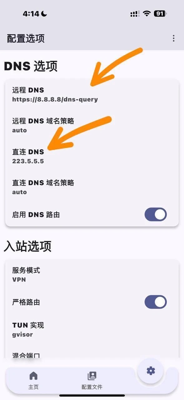 9. Konfigurasi DNS (Kritikal)